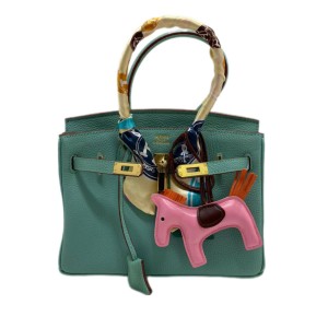 Сумка Hermes Birkin 25 R3493