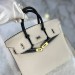 Сумка Hermes Birkin 25 RB3599