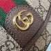 Сумка Gucci Ophidia GG R2165