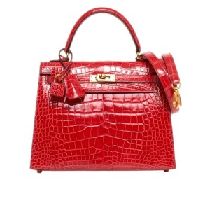 Сумка Hermes Kelly 25 R2223