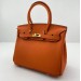 Сумка Hermes Birkin 25 R2294