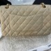 Сумка Chanel Flap Bag 2.55 R2876