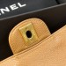 Сумка Chanel Flap Bag 2.55 R2877