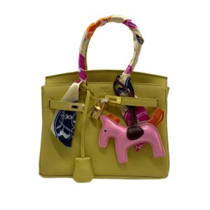 Сумка Hermes Birkin 25 R3488