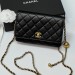 Сумка Chanel Woc RE3649