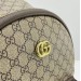 Рюкзак Gucci Ophidia GG R2447