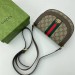 Сумка Gucci Ophidia GG R2985