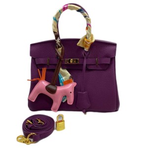 Сумка Hermes Birkin 25 R3483