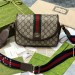 Сумка Gucci Ophidia GG R2165