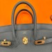 Сумка Hermes Birkin 25 R2197