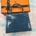 Сумка Hermes Kelly 25 R2231