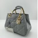 Сумка Christian Dior Lady 95.22 R2501