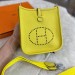 Сумка Hermes Evelyne R2839