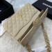 Сумка Chanel Flap Bag 2.55 R2876