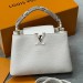 Сумка Louis Vuitton Capucines R2891