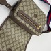 Сумка Gucci Ophidia GG R3057