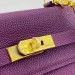 Сумка Hermes Kelly 25 Togo R2475