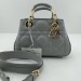 Сумка Christian Dior Lady 95.22 R2501