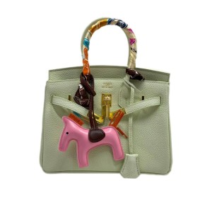 Сумка Hermes Birkin 25 R3485