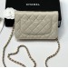 Сумка Chanel Woc RE3648