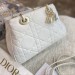 Сумка Christian Dior Lady 95.22 R2157