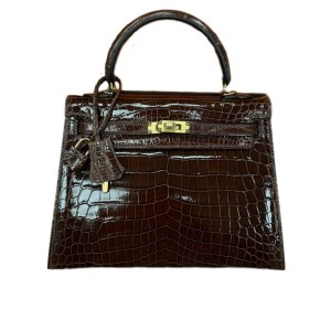 Сумка Hermes Kelly 25 R2229