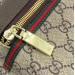 Рюкзак Gucci Ophidia GG R2447