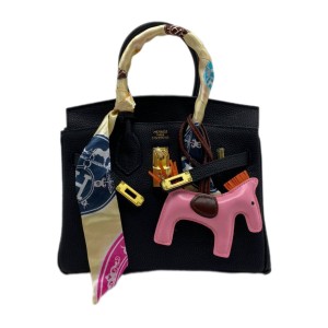 Сумка Hermes Birkin 25 R3484