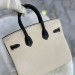 Сумка Hermes Birkin 25 RB3599