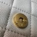 Сумка Chanel Woc RE3648