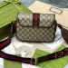 Сумка Gucci Ophidia GG R2165