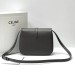 Сумка Celine Medium Tabou R2172