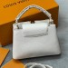 Сумка Louis Vuitton Capucines R2891