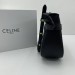 Сумка Celine Triomphe Crossbody R3378