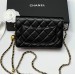 Сумка Chanel Woc RE3649