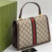 Сумка Gucci Ophidia R1532