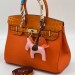 Сумка Hermes Birkin 30 R1669