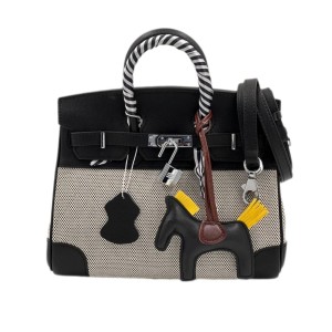 Сумка Hermes Birkin 25 R1667