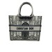 Сумка Christian Dior Book Tote R2363