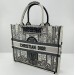 Сумка Christian Dior Book Tote R2363