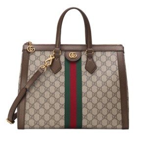 Сумка Gucci Ophidia GG R2023