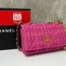 Сумка Chanel 19 RP4865