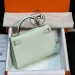 Сумка Hermes Kelly Sellier 19 Bambou Chevre RE5009