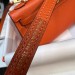 Сумка Hermes Kelly Sellier 19 Bambou Chevre RE5012