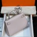 Сумка Hermes Kelly Sellier 19 Bambou Chevre RE5010