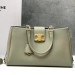 Сумка Celine Appoline Medium RE5491