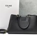 Сумка Celine Appoline Medium RE5490