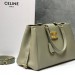 Сумка Celine Appoline Medium RE5491