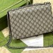 Сумка Gucci Dionysus GG RE6101