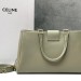 Сумка Celine Appoline Medium RE5491